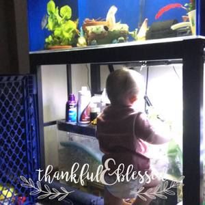 Meet your Posher, Lonnie